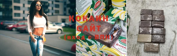 сатива Сатка